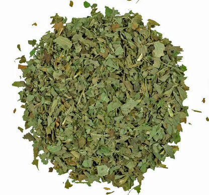 Organic Moringa Leaf Tea – Moringa Oleifera Herbal Tea (1 lb / 16 oz)